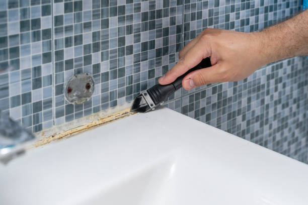 Best Mold Remediation Experts  in Yermo, CA